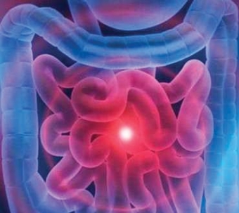 flore-intestinal-rouge-330-min.jpg flore-intestinal-rouge-330-min.jpg